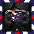 Fanatec Esport F1 V1 and V2 steering wheel stickers - Ford Mustang GT3